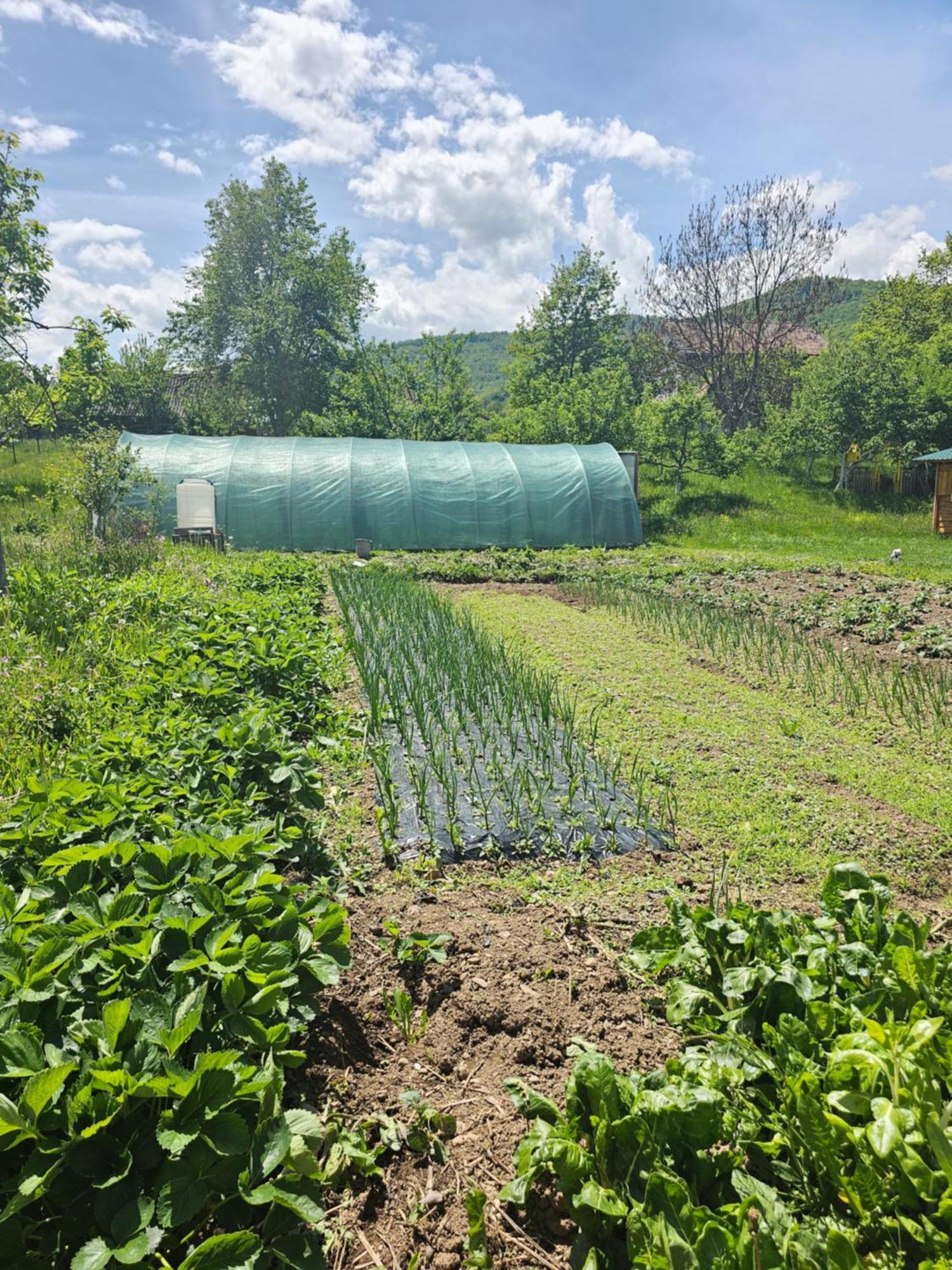 Konaci Oceva Zemlja Bungalovi Konaci Oceva Zemlja Vikendica Mojkovac Eksteriør bilde
